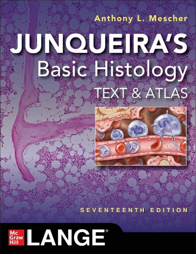 Junqueira's Basic Histology: Text and Atlas