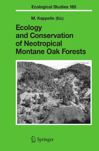 Genetic Systems Programming: Theory and Experiences (Studies in Computational Intelligence, 13)