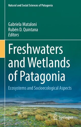 Freshwaters and Wetlands of Patagonia: Ecosystems and Socioecological Aspects (Natural and Social Sciences of Patagonia)