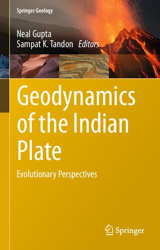 Geodynamics of the Indian Plate: Evolutionary Perspectives (Springer Geology)