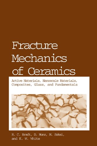Fracture Mechanics of Ceramics: Active Materials, Nanoscale Materials, Composites, Glass, and Fundamentals (Fracture Mechanics of Ceramics, 14)