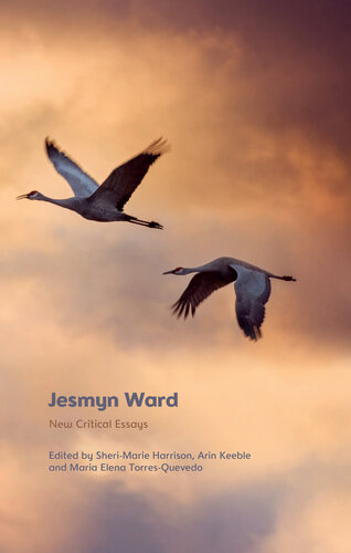 Jesmyn Ward: New Critical Essays