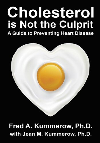 Cholesterol is Not the Culprit: A Guide to Preventing Heart Disease