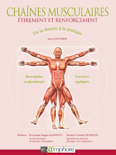 Chaînes musculaires - Étirement et renforcement