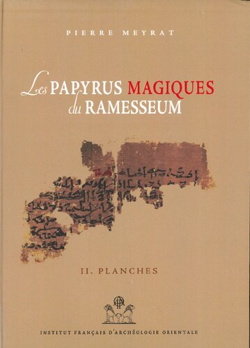 Les papyrus magiques du Ramesseum : Recherche sur une bibliothèque privée de la fin du Moyen Empire