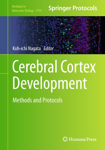 Cerebral Cortex Development: Methods and Protocols (Methods in Molecular Biology, 2794)