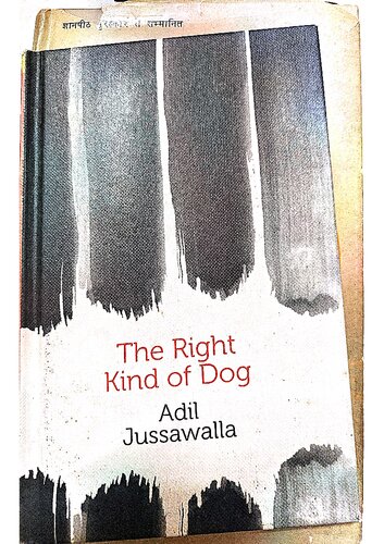 The Right Kind of Dog