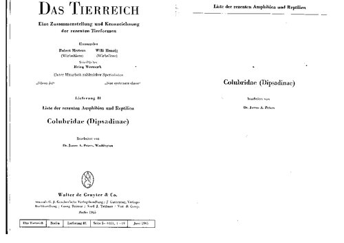 Colubridae (Dipsadinae)