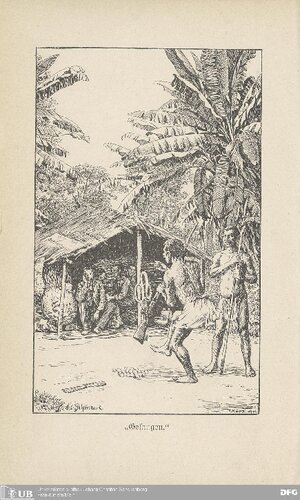 Ins Inner-Hochland von Kamerun