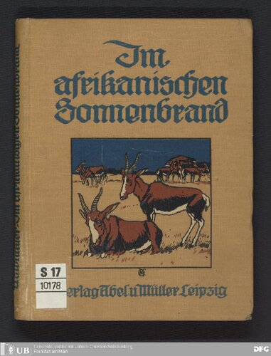 Im afrikanischen Sonnenbrand