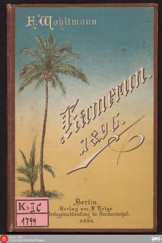 Der Plantagenbau in Kamerun und seine Zukunft ; drei Reiseberichte