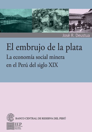 El embrujo de la plata : La economía social de la minería en el Perú del siglo XIX