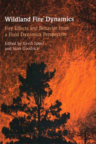 Wildland Fire Dynamic