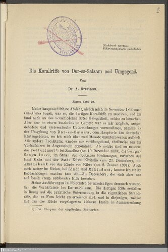 Die Korallriffe von Dar-es-Salaam [Daressalam] und Umgegend