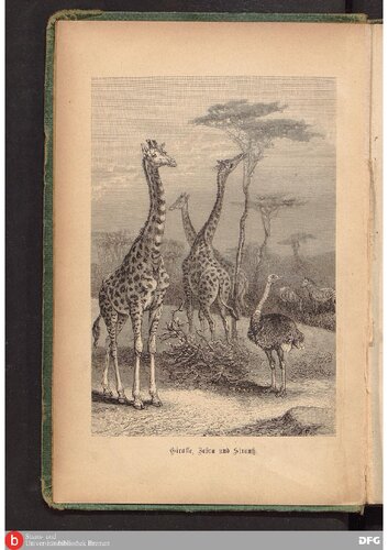 Deutsch-Ostafrika : Geschichte der Gründung einer deutschen Kolonie