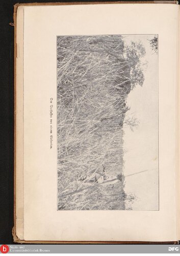 Im Morgenlicht ; Kriegs-, Jagd- und Reise-Erlebnisse in Ostafrika