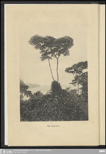 Caput Nili : Eine empfindsame Reise zu den Quellen des Nils