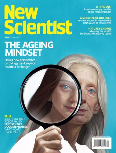 The Ageing Mindset
