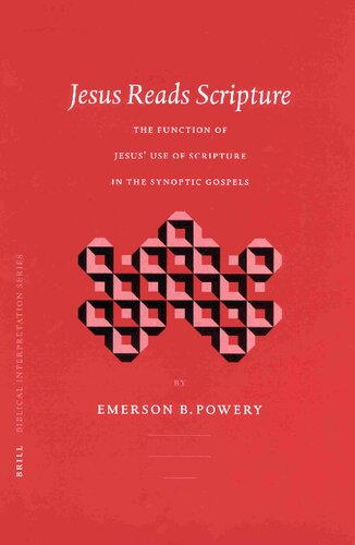 Jesus Reads Scripture: The Function of Jesus' Use of Scripture in the Synoptic Gospels (Biblical Interpretation Series)