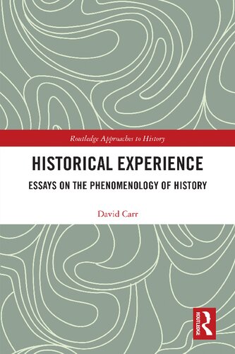 Historical Experience: Essays on the Phenomenology of History