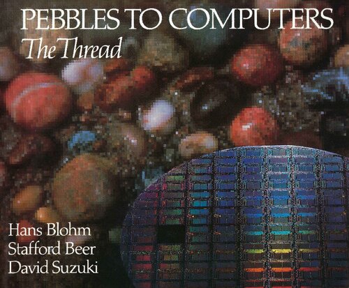 Pebbles to Computers: The Thread