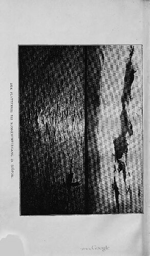 Bad Siófok am Plattensee, seine Heilmittel und seine Heilwirkung