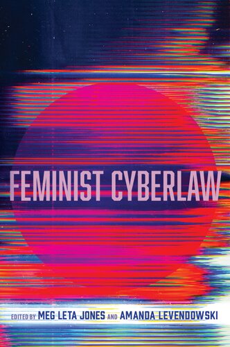 Feminist Cyberlaw