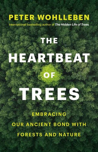 The Heartbeat of Trees: Embracing our Ancient Bond with Forests and Nature