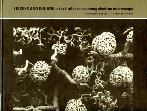 Tissues and Organs: a text-atlas of scanning electron microscopy