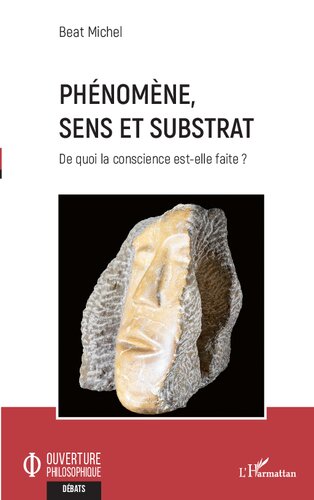 Phénomène, sens et substrat: De quoi la conscience est-elle faite ?
