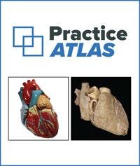 Practice Atlas for Anatomy & Physiology