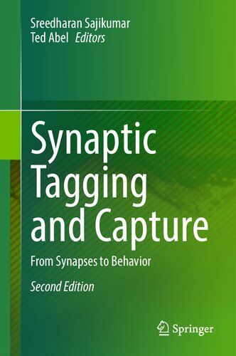Synaptic Tagging and Capture: From Synapses to Behavior