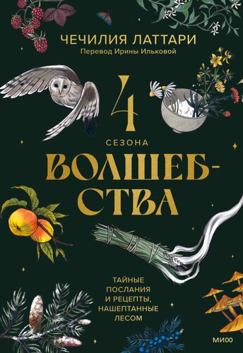 4 сезона волшебства: Тайные послания и рецепты, нашептанные лесом