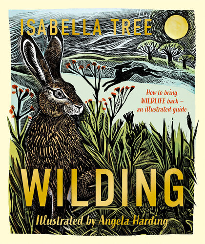 Wilding: How to Bring Wildlife Back: An Illustrated Guide