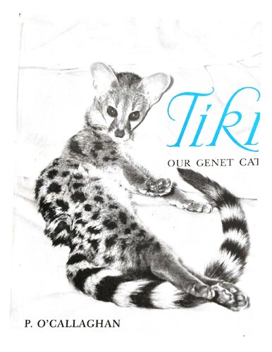 Tiki, Our Genet Cat