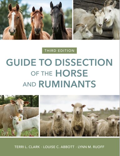 Guide to Dissection of the Horse and Ruminants