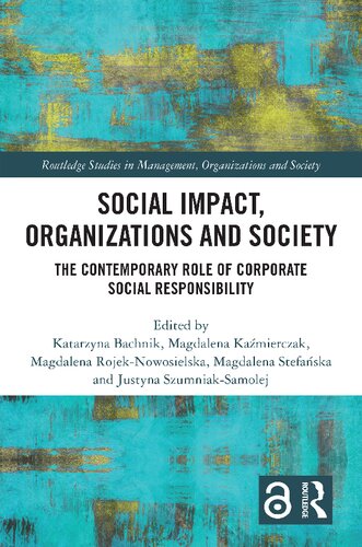 Social Impact, Organizations and Society (Routledge Studies in Management, Organizations and Society)