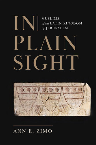 In Plain Sight: Muslims of the Latin Kingdom of Jerusalem (The Middle Ages Series)