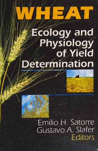Wheat: ecology and physiology of yield determination
