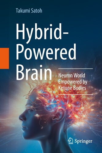 Hybrid-Powered Brain: Neuron World Empowered by Ketone Bodies