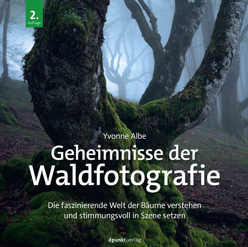 Geheimnisse der Waldfotografie: Die faszinierende Welt der Bäume verstehen und stimmungsvoll in Szene setzen