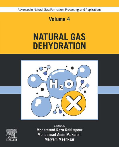 Advances in Natural Gas: Formation, Processing, and Applications, Volume 4: Natural Gas Dehydration