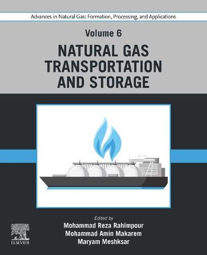 Advances in Natural Gas: Formation, Processing, and Applications, Volume 6: Natural Gas Transportation and Storage