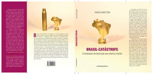 Brasil-Catástrofe: constelações da destruição que estamos vivendo