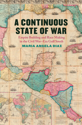 A Continuous State of War - Empire Building and Race Making in the Civil War–Era Gulf South