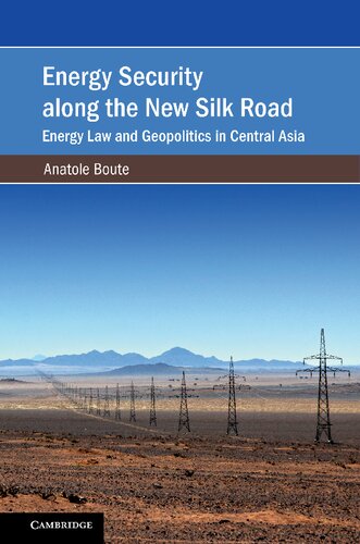 Energy Security along the New Silk Road: Energy Law and Geopolitics in Central Asia (Cambridge Studies on Environment, Energy and Natural Resources Governance)