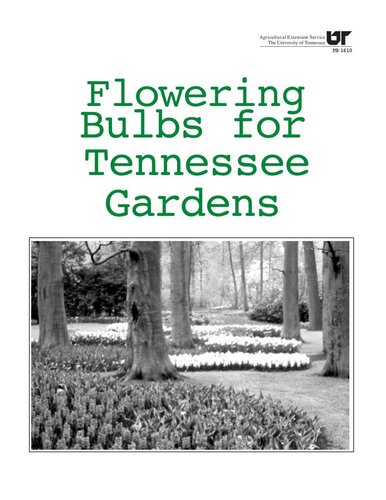 Flowering Bulbs for Tennessee Gardens