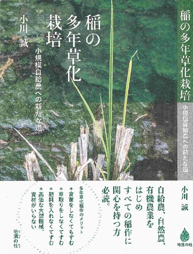稲の多年草化栽培