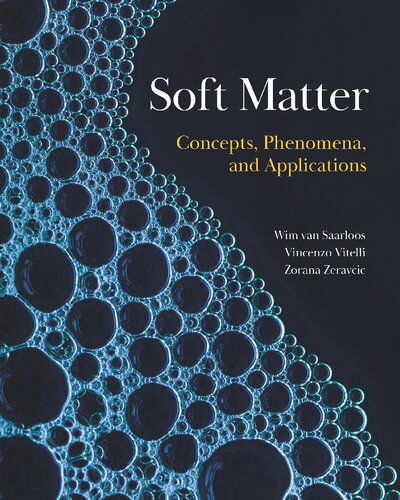 Soft Matter. Concepts, Phenomena, and Applications