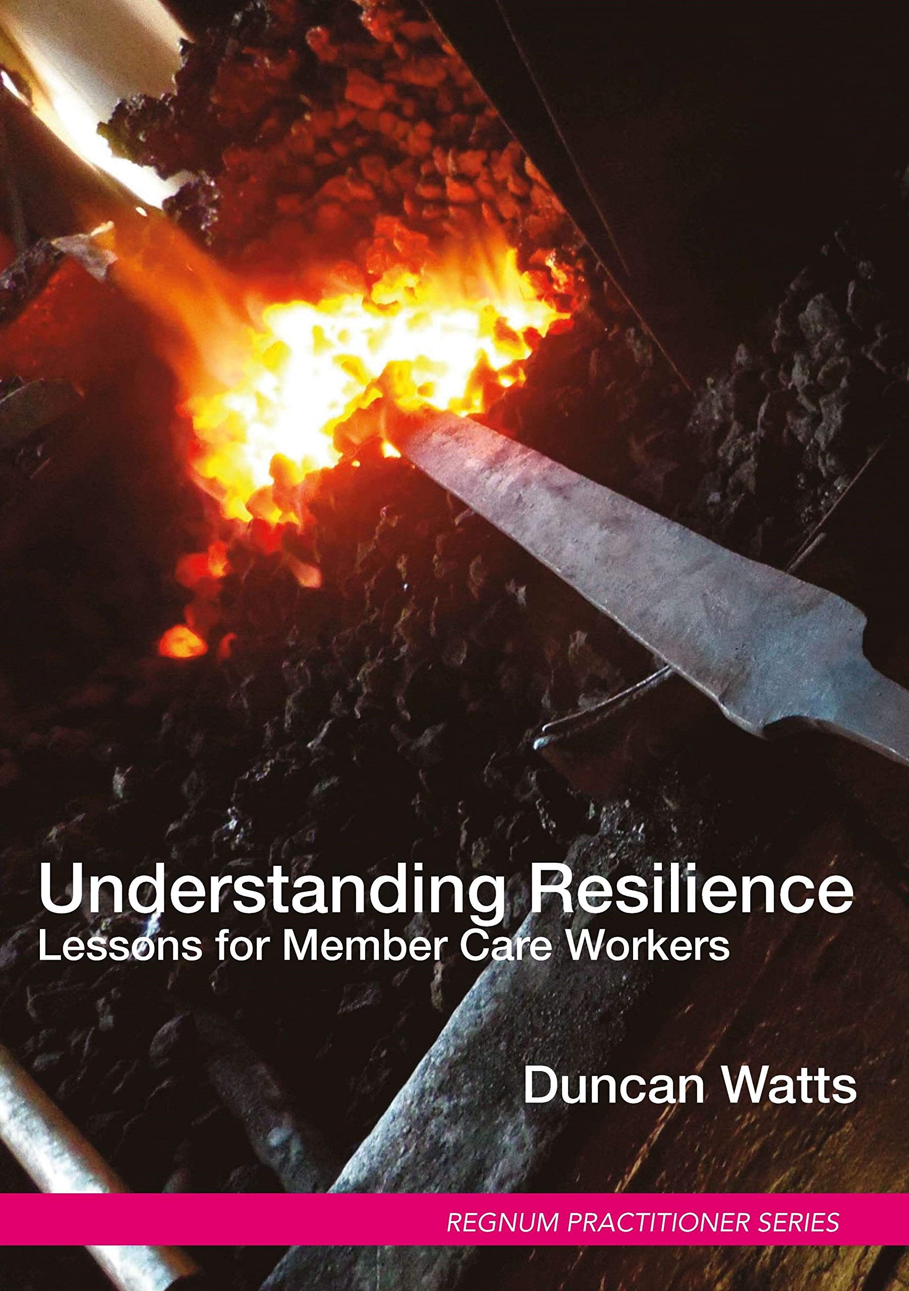 Understanding Resilience: Lessons for Member Care Workers